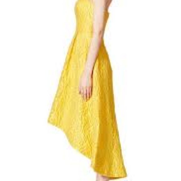 ML Monique Lhuillier Sunshine Day Gown (Size 4) - Picture 2 of 5